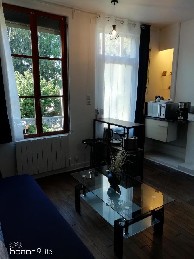 Centre Troyes Avec Vue Sur Parc, Simplicite D'Acces, Charme Et Confort Garanti מראה חיצוני תמונה